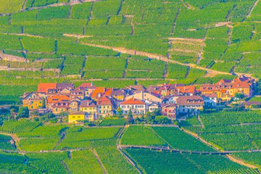 Geneva Gölü, Switzerlan yakınlarındaki bir tepe üzerinde tünemiş Epesses Köyü