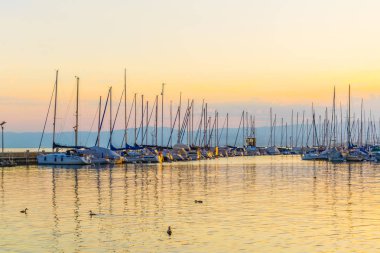 Marina Lozan, Switzerlan