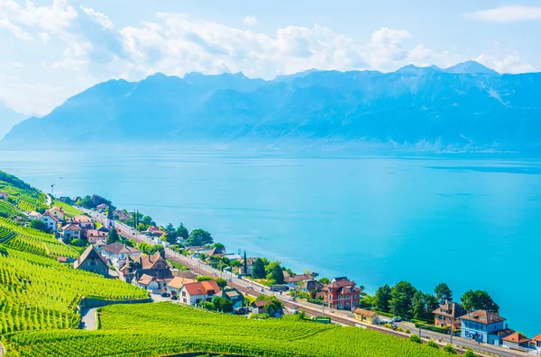 Lavaux Weinregion Bei Lausanne Schweiz — Stockfoto