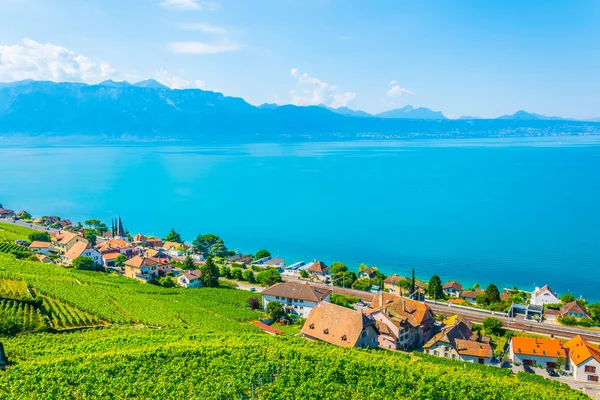 Lavaux Vin Regionen Nära Lausanne Schweiz — Stockfoto