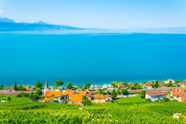 Região Vinícola Lavaux Perto Lausanne Switzerlan — Fotografia de Stock