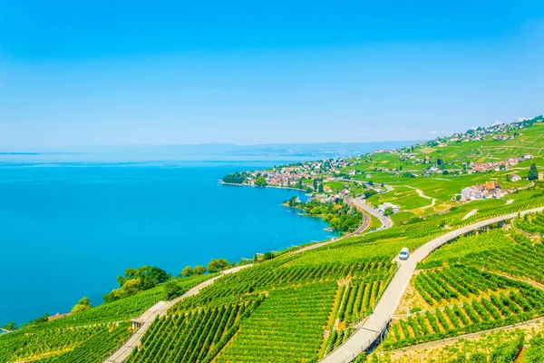 Lavaux wine region near Lausanne, Switzerlan