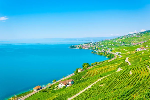 Lavaux Wina Regionu Pobliżu Lausanne Switzerlan — Zdjęcie stockowe