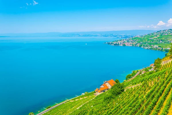 Lavaux Wina Regionu Pobliżu Lausanne Switzerlan — Zdjęcie stockowe