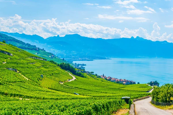 Lavaux Vin Regionen Nära Lausanne Schweiz — Stockfoto