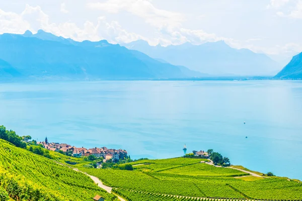 Lavaux Vin Regionen Nära Lausanne Schweiz — Stockfoto