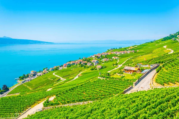 Letecký Pohled Rivaz Ženevské Jezero Švýcarska — Stock fotografie