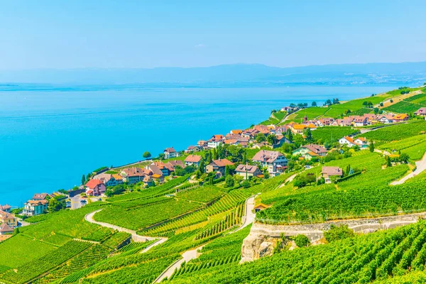 Vista Aérea Lago Rivaz Genebra Switzerlan — Fotografia de Stock