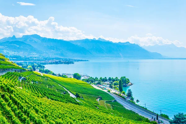 Lavaux Wina Regionu Pobliżu Lausanne Switzerlan — Zdjęcie stockowe