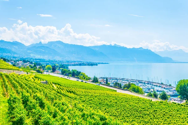 Região Vinícola Lavaux Perto Lausanne Switzerlan — Fotografia de Stock