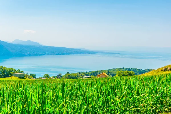 Geneva Gölü'nden Mont Pelerin, Switzerlan havadan görünümü