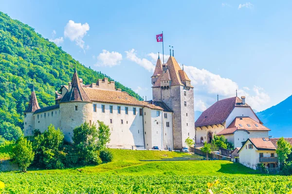 Schloss Aigle Mit Blick Auf Die Umliegenden Weinberge Und Die — Stockfoto