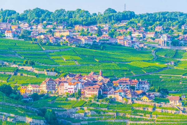 Rivaz Och Chexbres Byar Ligger Nära Genèvesjön Schweiz — Stockfoto