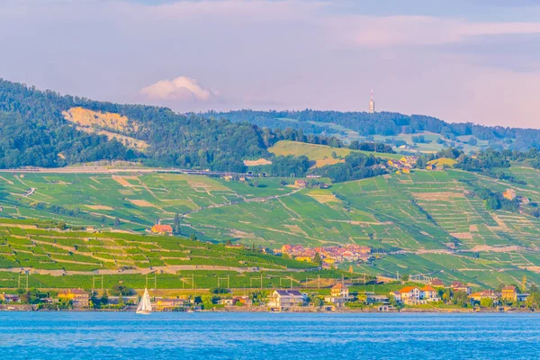 Mała Wioska Rozprzestrzeniania Się Brzegu Jeziora Genewskie Switzerlan — Zdjęcie stockowe