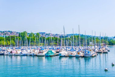 Marina Lozan, Switzerlan