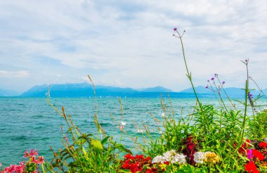 Geneva Gölü Switzerlan çiçeklenir arkasında görüntülendi?