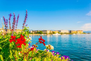 Switzerlan çiçek arkasında Cityscape Cenevre görüntülendi