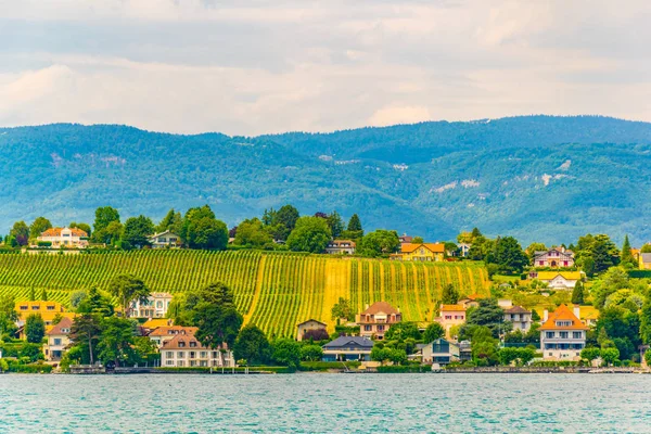 Nazywany Również Jako Lac Leman Switzerlan Nad Jeziorem Genewskim — Zdjęcie stockowe