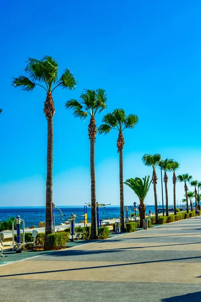 İnsanlar Molos gezinti yerinde Limassol, Cypru üzerinde geziniyor