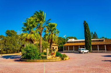 Kutsal Manastırı St Nicholas Cypru üzerinde kedi