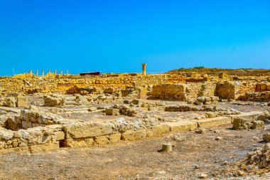 Paphos Archaeological Park Cypru tarihinde evinde Orpheus kalıntıları