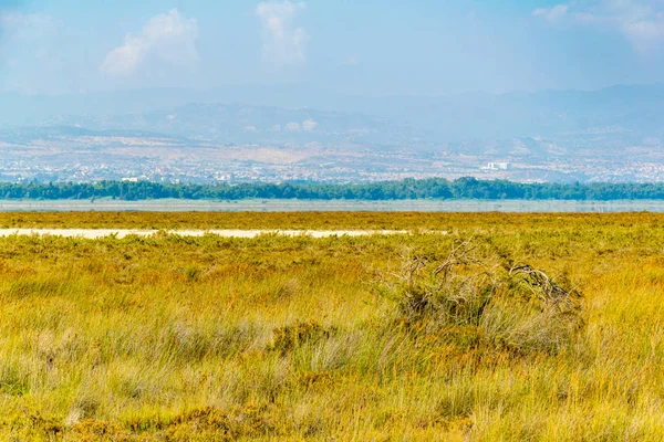 Lago Salado Akrotiri Secado Durante Verano Jalá —  Fotos de Stock