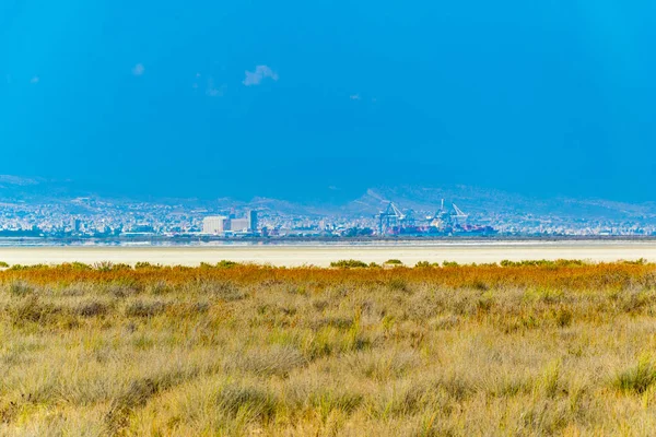 Limassol Visto Dietro Lago Salato Akrotiri Liguu — Foto Stock