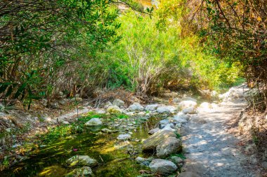 Avakas Cypru 'da boğuldu