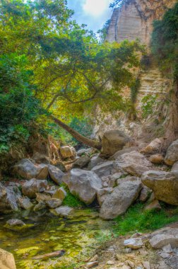 Avakas Cypru 'da boğuldu