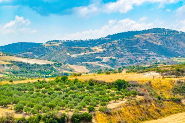 Kıbrıs tepelik kırsal Akamas peninsul yakın