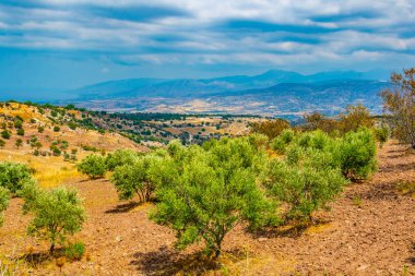 Kıbrıs tepelik kırsal Akamas peninsul yakın