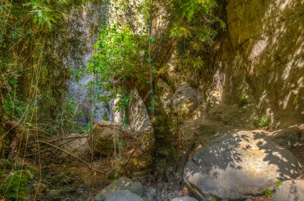 Avakas Schlucht Auf Cypru — Stockfoto