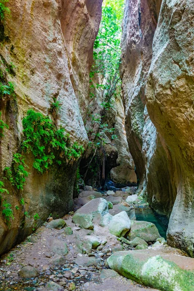 キプロスのアバカス峡谷 — ストック写真