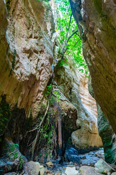 Garganta Avakas Jalá —  Fotos de Stock