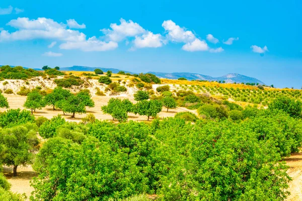 Kuperade Landskapet Cypern Nära Akamas Peninsul — Stockfoto