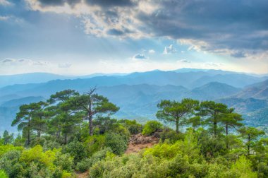 Cypru 'daki Troodos Dağları