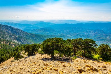 Cypru 'daki Troodos Dağları