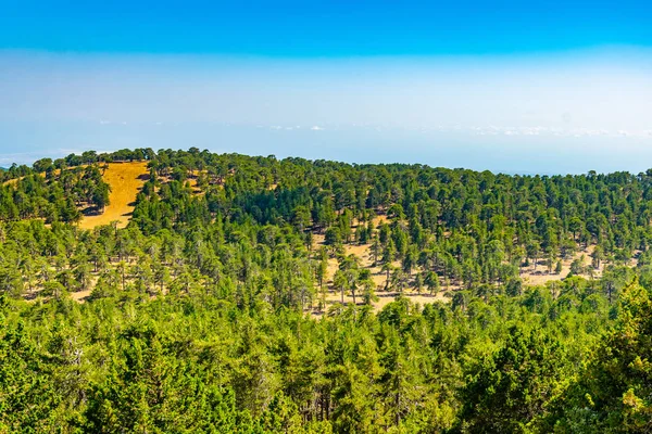 Hory Troodos Jihu — Stock fotografie