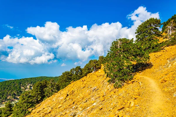 Percorso Escursionistico Sulle Montagne Troodos — Foto Stock