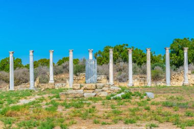 Gazimağusa-Cypru yakınındaki Antik Salamis sit alanı, spor salonu kalıntıları