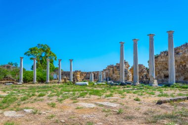 Gazimağusa-Cypru yakınındaki Antik Salamis sit alanı, spor salonu kalıntıları