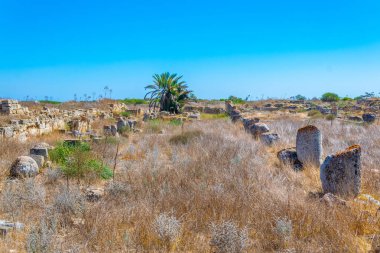 Famagusta, Cypru yakın Antik Salamis arkeolojik bölgesi kalıntıları