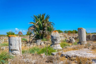 Famagusta, Cypru yakın Antik Salamis arkeolojik bölgesi kalıntıları