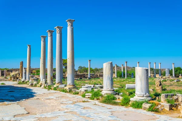 Rovine Del Gymnasium Presso Antico Sito Archeologico Salamina Vicino Famagosta — Foto Stock