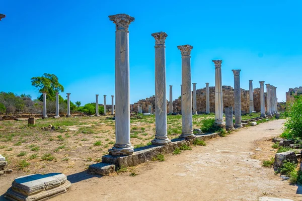 Romjai Ősi Salamis Régészeti Helyszín Famagusta Cypru Közelében Gimnázium — Stock Fotó