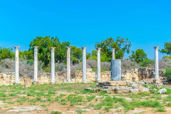 Gazimağusa Cypru Yakınındaki Antik Salamis Sit Alanı Spor Salonu Kalıntıları — Stok fotoğraf