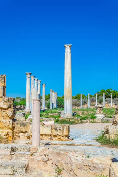 Rovine Del Gymnasium Presso Antico Sito Archeologico Salamina Vicino Famagosta — Foto Stock