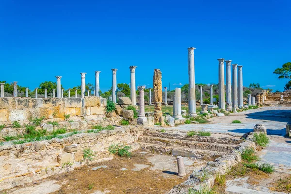 Ερείπια Του Γυμνασίου Αρχαία Σαλαμίνα Αρχαιολογικό Χώρο Κοντά Στην Αμμόχωστο — Φωτογραφία Αρχείου