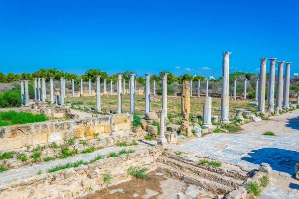 Romjai Ősi Salamis Régészeti Helyszín Famagusta Cypru Közelében Gimnázium — Stock Fotó