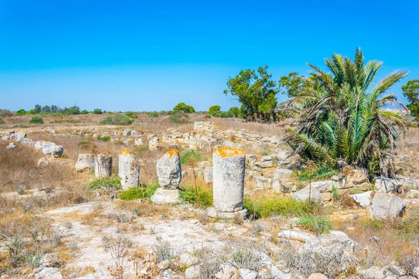 Ruínas Antigo Sítio Arqueológico Salamis Perto Famagusta Cypru — Fotografia de Stock